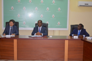 Togo : la Cor&eacute;e du Sud va soutenir le projet des agropoles avec sa success-story Seamaul