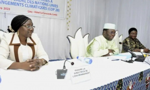 Le Togo fait le bilan de sa participation &agrave; la Cop 28