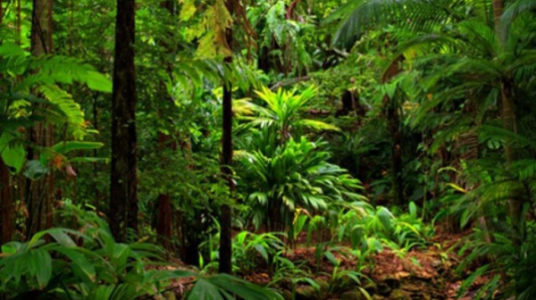 Togo creates a national office for its protected areas