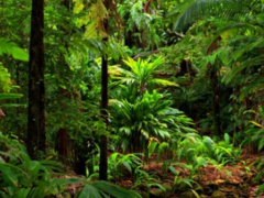 Togo creates a national office for its protected areas