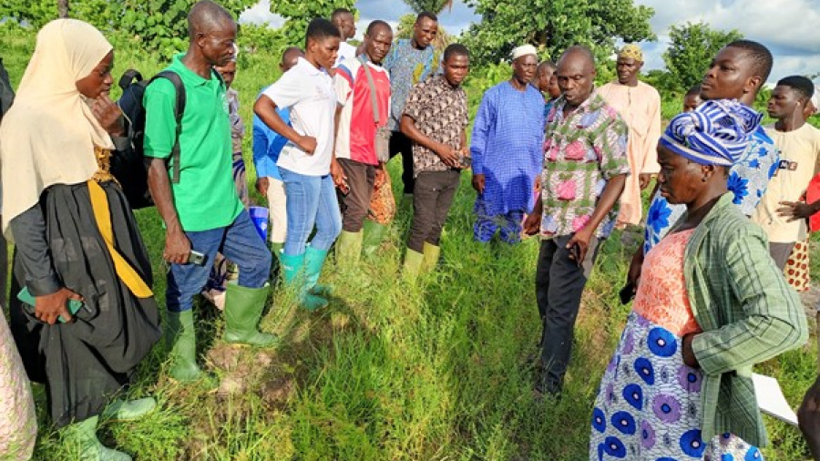 Développement de la filière rizicole : le Togo opte pour l’approche SMART VALLEYS