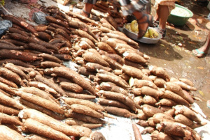 Togo : une production vivri&egrave;re diversifi&eacute;e, en hausse continue de 2021 &agrave; 2023