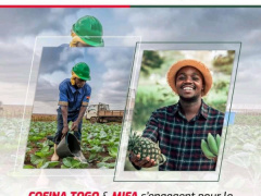 COFINA and MIFA team up to finance agricultural actors