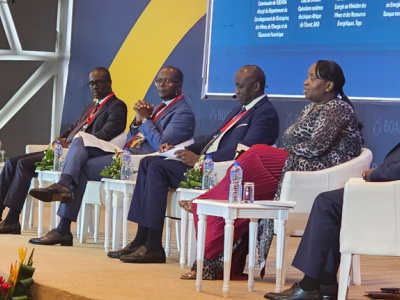 electricite-pour-tous-a-l-horizon-2030-le-togo-attend-1-68-milliard-du-prive