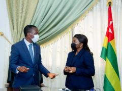 Ministers Midevor and Adedze urge French bosses to invest in Togo during a webinar with MEDEF