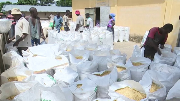 Sécurité alimentaire : L’ANSAT ouvre ses vannes