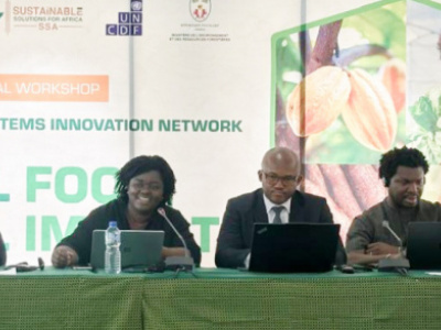 togo-launches-innovation-network-to-strengthen-african-food-security