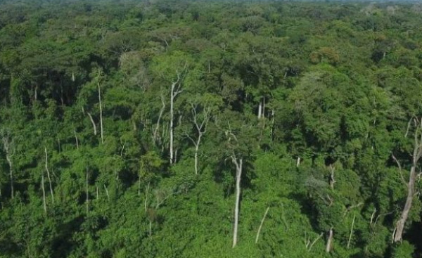Togo: A biodiversity project has been launched in the central region