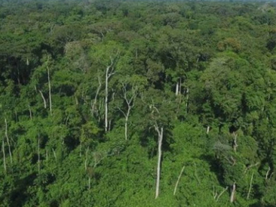 togo-a-biodiversity-project-has-been-launched-in-the-central-region
