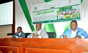 Irrigation au Togo : &eacute;tat des lieux et recommandations des acteurs