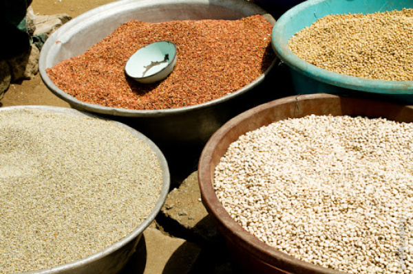 Prices of cereals should remain stable in the coming months