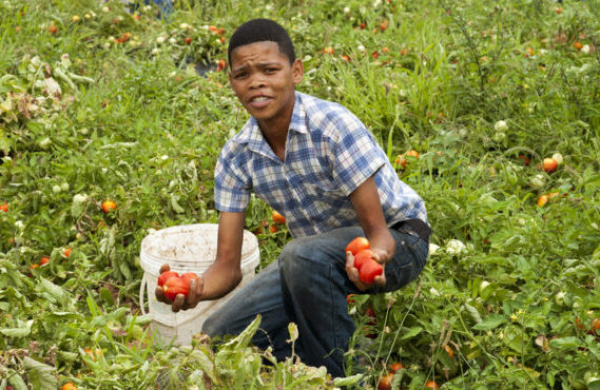 Entrepreneuriat rural : validation du rapport de l’étude sur le commerce transfrontalier