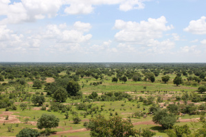 Des entreprises pour am&eacute;nager plus de 8 000 hectares de terres agricoles