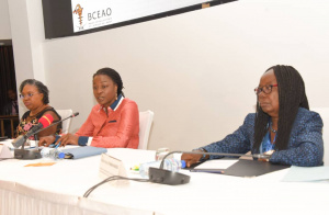 Togo: une strat&eacute;gie d&rsquo;inclusion financi&egrave;re!