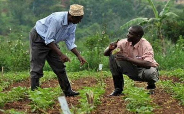 Kara Agropole Project : Various key actors are being trained to help boost the capacities of farmers