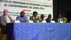 Togo&nbsp;: Les subventions du Programme de promotion de l&rsquo;entrepreneuriat des jeunes repr&eacute;sentent &agrave; ce jour plus de 500 millions FCFA