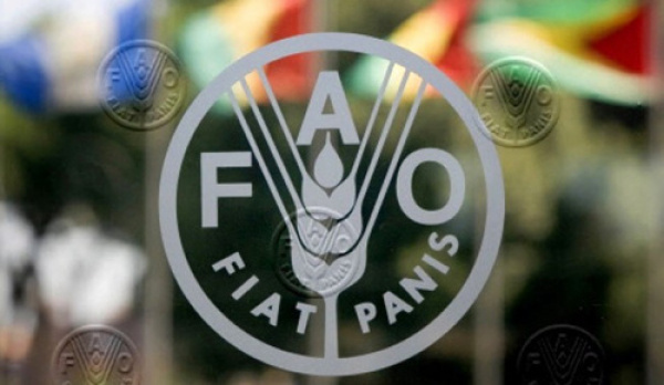 FAO boosts food security in Northern Togo