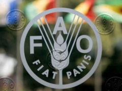 FAO boosts food security in Northern Togo