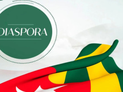 Togo adopts new strategy to mobilize diaspora investment