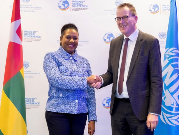 UNIDO, Togo explore ways to bolster collaboration