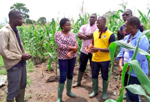 16 000 emplois durables et 57 000 temporaires, 94% de taux d&rsquo;ex&eacute;cution&hellip; 2018 a &eacute;t&eacute; satisfaisant pour le d&eacute;veloppement &agrave; la base