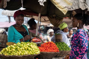 Tout comprendre sur comment l'INSEED mesure l'inflation au Togo