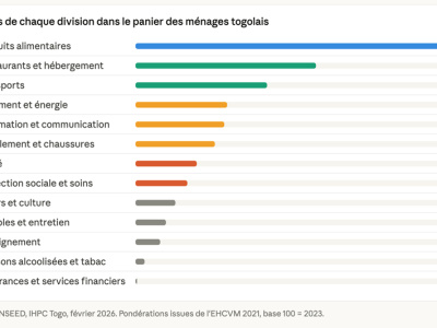 tout-comprendre-sur-comment-l-inseed-mesure-l-inflation-au-togo