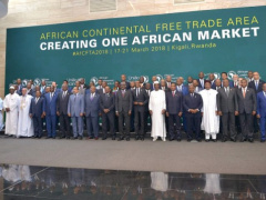 Togo ratifies law to create African Continental Free Trade Area