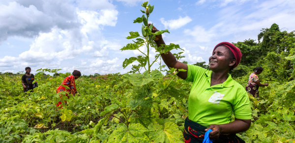 UNDP Togo raised over $2.5M from its partners in 2021