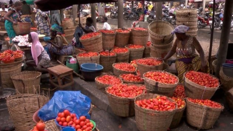 Tomate, ma&iuml;s, huile : au Togo, le prix de votre assiette d&eacute;pend beaucoup de l&agrave; o&ugrave; vous vivez&nbsp;