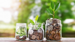 Togo&nbsp;: un taux de croissance agricole en hausse