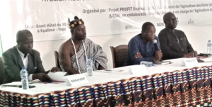 Togo : d&eacute;marrage du Projet de promotion des fili&egrave;res horticoles, financ&eacute; par l'USDA