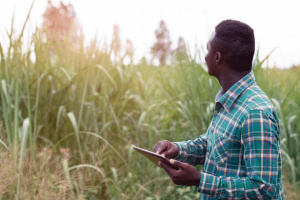 Togo : le minist&egrave;re de l&rsquo;Agriculture lance une plateforme d'E-learning
