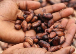 Une opportunit&eacute; de certification pour les PME togolaises dans le cadre de la ZLECAF