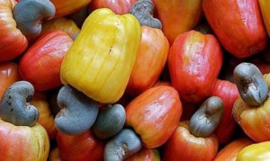 La CEDEAO veut certifier en priorit&eacute; cinq produits, dont la noix de cajou et le ciment