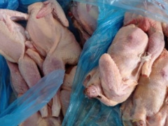 Togo: Government Impose Rule on Fish and Poultry Importers to Boost Local Production
