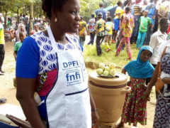 The National Fund for Inclusive Finance has disbursed more than XOF260 million since the beginning of this year
