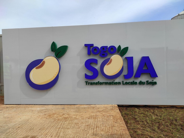 Togo : le soja, à l’embryon de l’agro-transformation