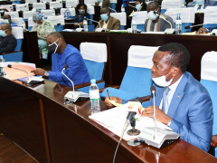 Togo to ratify the Bangui Agreement to better protect inventions and creations