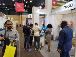 Foire interafricaine de Durban : le &laquo; Made in Togo &raquo; en attraction !
