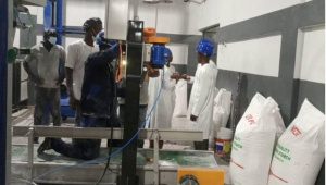 Apr&egrave;s 800 000 emplois cr&eacute;&eacute;s sur 5 ans, PAEIJ-SP II se profile &agrave; l&rsquo;horizon