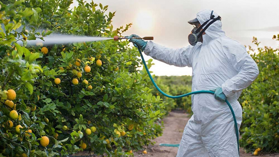 Togo : l’usage non-encadré de pesticides met en danger la compétitivité agricole