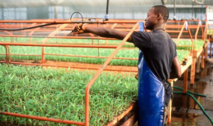 Le PAEIJ-SP va accompagner ses b&eacute;n&eacute;ficiaires dans la recherche de d&eacute;bouch&eacute;s