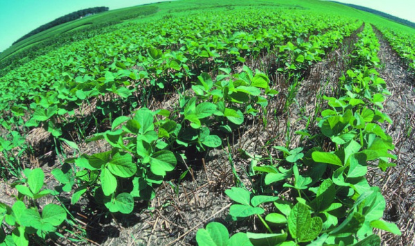 Depuis Lomé, la BOAD et le Fonds Vert préparent un financement pour l&#039;agriculture durable dans la sous-région