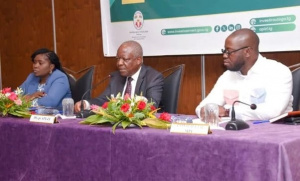 Togo&nbsp;: une plateforme num&eacute;rique cr&eacute;&eacute;e pour l'accueil des investisseurs