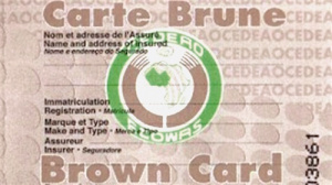 Depuis Lom&eacute;, des experts de la Cedeao tablent sur la digitalisation de la carte brune &nbsp;