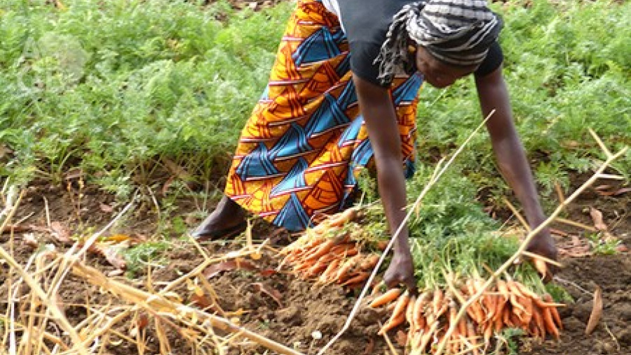 Togo : Le FoPAT 2025 en préparation 