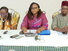 Togo reviews NGO oversight under anti-money laundering reforms