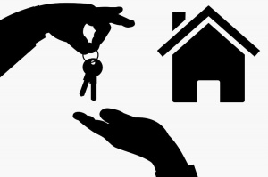 Transfert de propri&eacute;t&eacute; : de belles performances entre 2018 et 2021