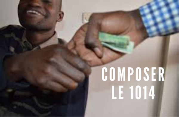 Togo: Faites le « 1014 » pour dénoncer toute indélicatesse d&#039;un agent des forces de l&#039;ordre